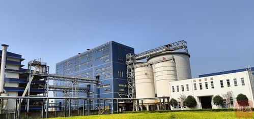 新春走基层丨自贡开放通道 上新 跨境电商产业蓄势待发