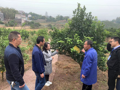 自贡市农业农村局 - 自贡市政府网站集约化平台
