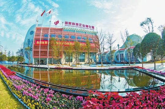 自贡以产业转型升级为突破口，推动区域振兴与企业网站建设