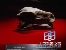 龙都珍品(一) - 自贡灯会彩灯,灯会彩灯界的行业门户网站,聚合彩灯企业提供最全的彩灯会灯展花车信息,搜罗展会活动信息和历届灯会集锦
