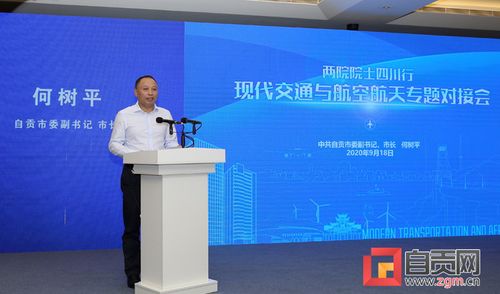 何树平 借力两院院士团队资源 为再造产业自贡提供智力支持
