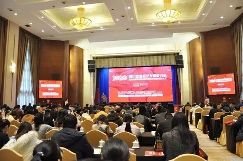 巅峰智业邢祺受聘为四川省照明电器协会文旅灯光专委会专家顾问